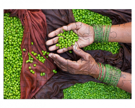 Mains d'une vendeuse indienne triant des pois chiches 