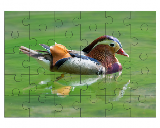 Canard mandarin