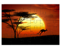 Kangourou au coucher du soleil