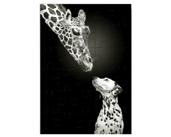 Girafe avec un dalmatien
