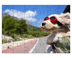 Chien avec des lunettes de soleil à la fenêtre d'une voiture