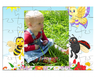Puzzle personnalisé : Insectes tenant une photo (format paysage)